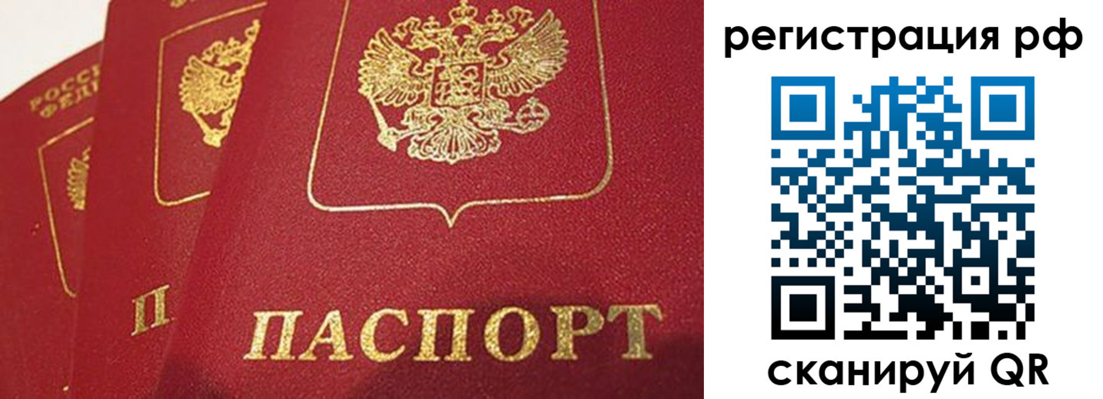 прописка в квартире в Елизово